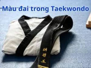 hệ thống đai taekwondo cho trẻ em mới bắt đầu