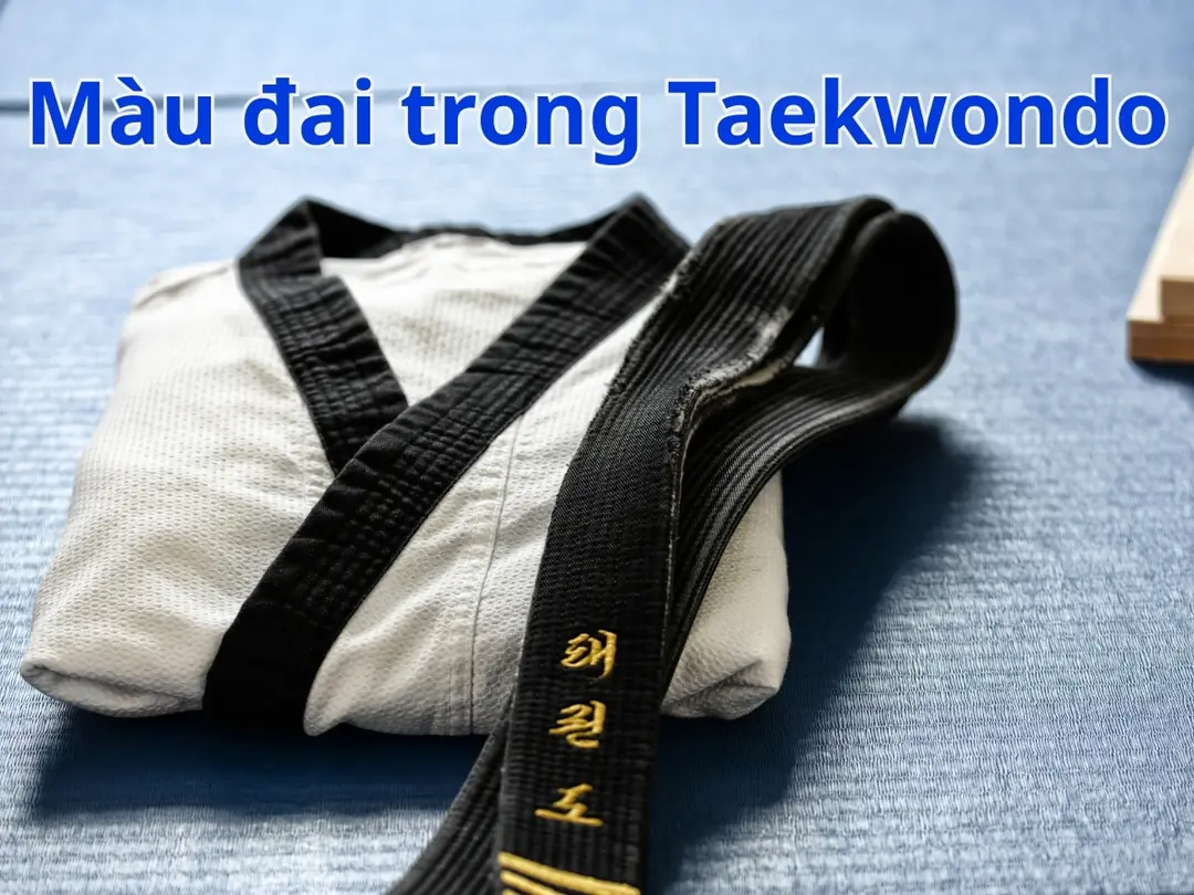 hệ thống đai taekwondo cho trẻ em mới bắt đầu