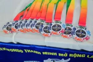 huy chương giải taekwondo thanh minh, minh họa mục tiêu và động lực tập luyện của võ sinh