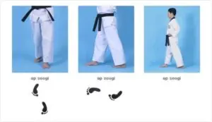 Thế tấn trước Ap Kubi dùng trong bài quyền Taegeuk 2 Jang